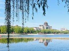 -莲花池公园