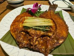 -紫滇源云南生态菜(丹凤街店)
