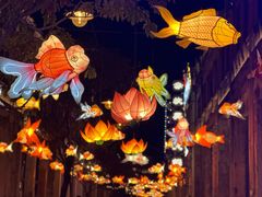 -赤坎·广东华侨国际旅游度假区