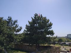 -莫子山公园