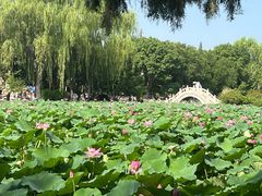 -莲池书院博物馆