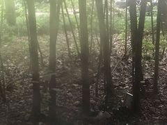 -东方明珠老上海8号餐厅