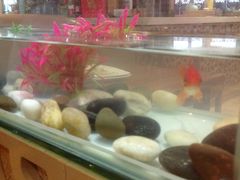 -金穗园·砂锅粥.醉鸡煲火锅(长寿路店)