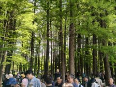 -采石矶景区