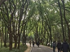 -东湖落雁景区