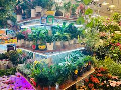 -双季花艺园艺市场(浦东店)