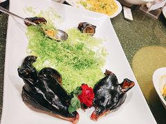 -顺轩海鲜火锅酒家