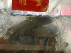 -干老四雅鱼饭店(滨江西路店)