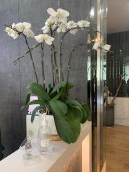 -意廊 Hair Salon