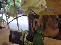 -佛有缘素食馆·荔湾老字号(陈家祠首店)
