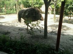 -四季御堂农家乐