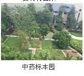 -广东食品药品职业学院(龙洞校区)