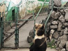 -成都动物园