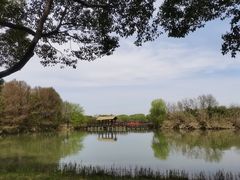 -苏州太湖国家湿地公园