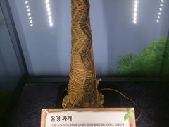 -信不信由你博物馆