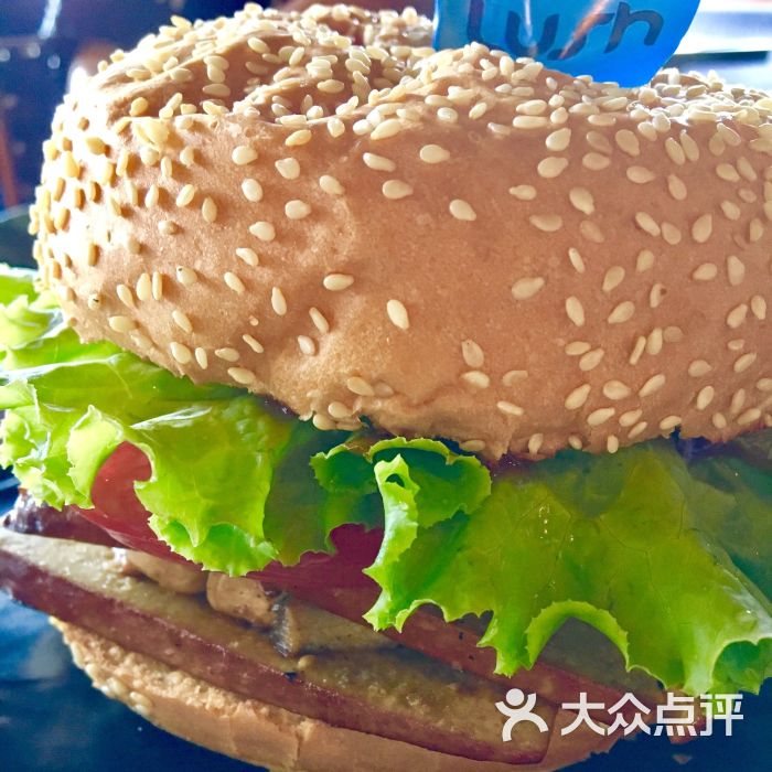 lush豆腐汉堡图片 - 第157张