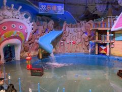 -烟台海昌鲸鲨海洋公园