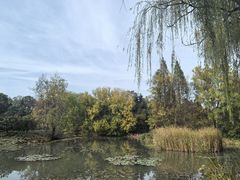 -洛阳市隋唐城遗址植物园