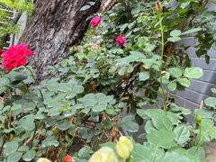 -大妙火锅·非物质文化遗产(东湖公园店)