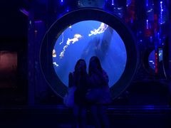 -成都浩海立方海洋公园