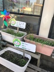 -梦田都市农场(银泰城店)