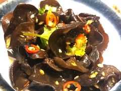 餐前涼拌木耳-同仁四季椰子鸡(海岸城天利店)