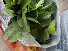 -马陆小张葡萄园农家乐