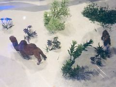 景观位-哈密古丽新疆餐厅(江北融创店)