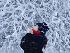 -武陵山森林公园