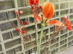 -宫燕府·京菜·烤鸭·淮扬菜(王府中心店)