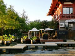 -莲西餐(曲江店)