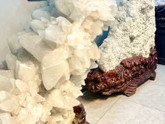 -游龙石文化科普馆