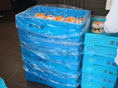 -王家沙点心店(西康路店)