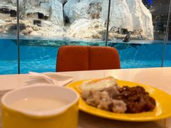 -帝企鹅自助餐厅•儿童岛•真企鹅(长隆企鹅酒店)