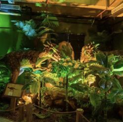 -恐龙探索乐园(磁器口店)