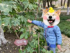 -白塘生态植物园