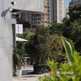 就在温州～谁懂啊，这里真的好chill🌳🏡🧉