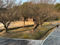 -香雪海
