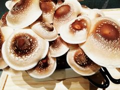 -鲜货俚鲜火锅(青果路店)