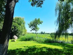 -泗洪洪泽湖湿地景区