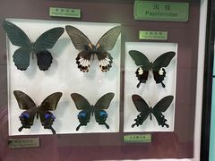 -上海昆虫博物馆