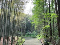 -同里国家湿地公园