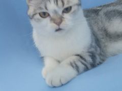 -麦当劳(武昌火车站店)