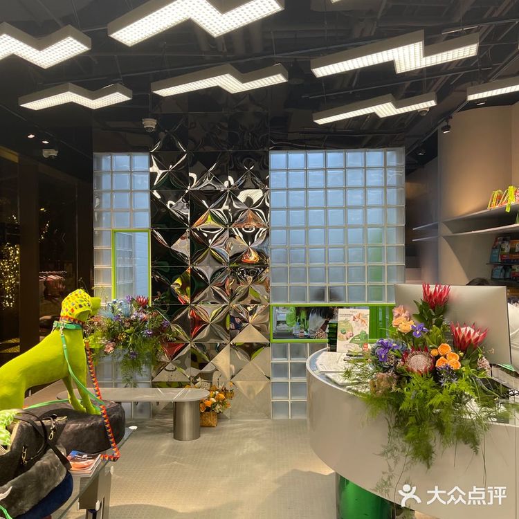 电力宠物公司