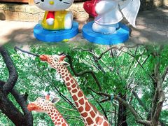 -晓港公园