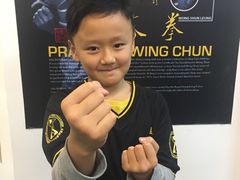 -温鉴良实用咏春拳