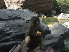 -河南宝泉旅游区