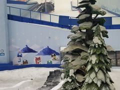 -哈尔滨热雪奇迹