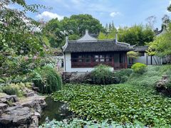 -上海醉白池公园