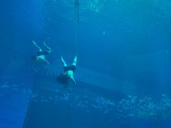 -南昌融创海世界